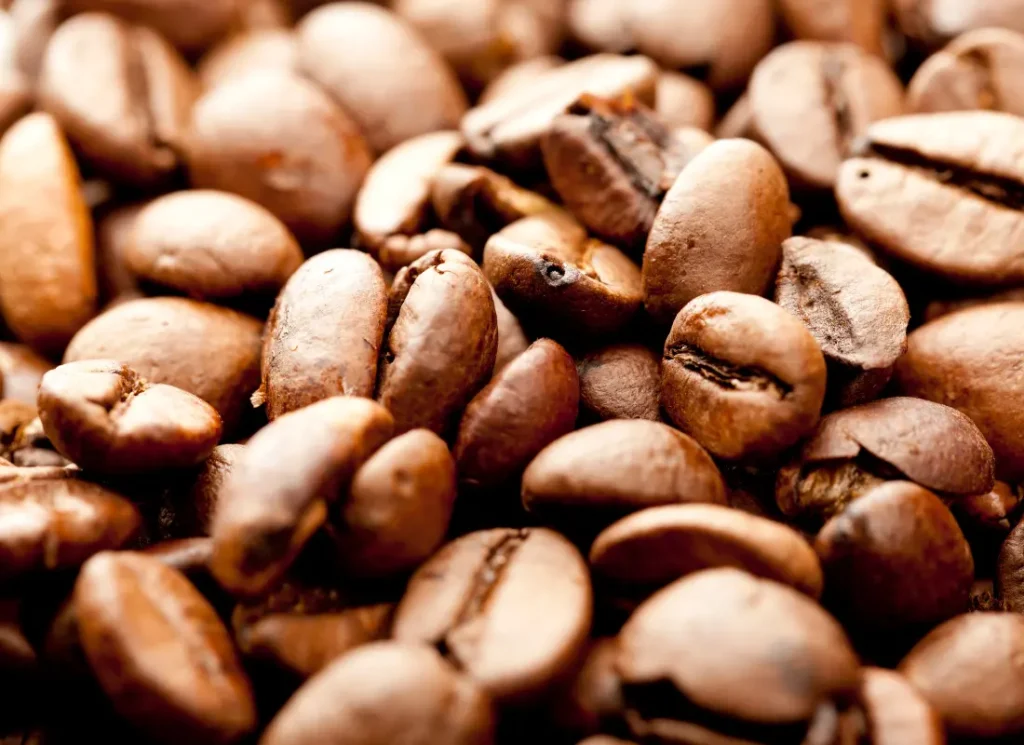 coffee beans 