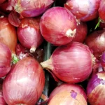 procurement of 500,000 tons of onion in 2-3 days