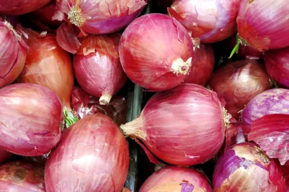 procurement of 500,000 tons of onion in 2-3 days