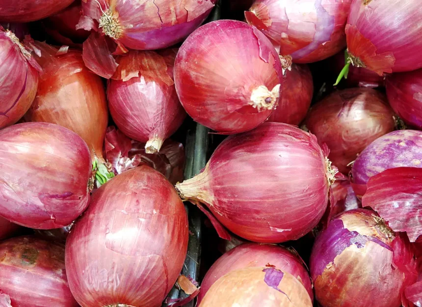 procurement of 500,000 tons of onion in 2-3 days