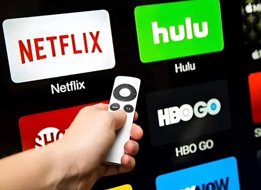 netflix Video Streaming Services